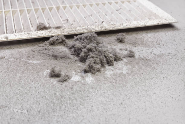 Best Dryer Vent Cleaning Services  in , SC