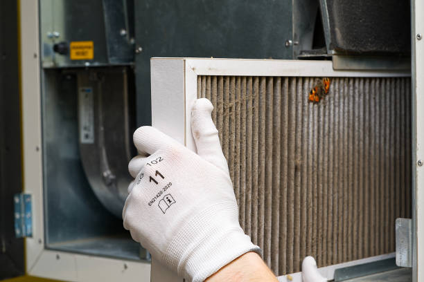 Best Emergency Air Duct Cleaning  in , SC