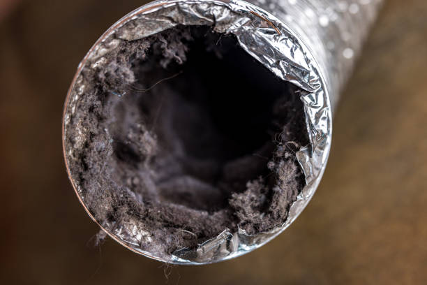 Best Best Air Duct Cleaning Company  in , SC